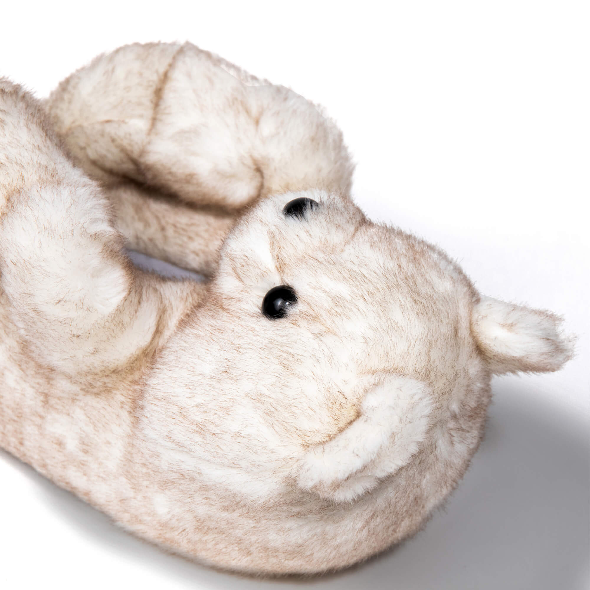 large big white teddy bears slippers shoes on a white background