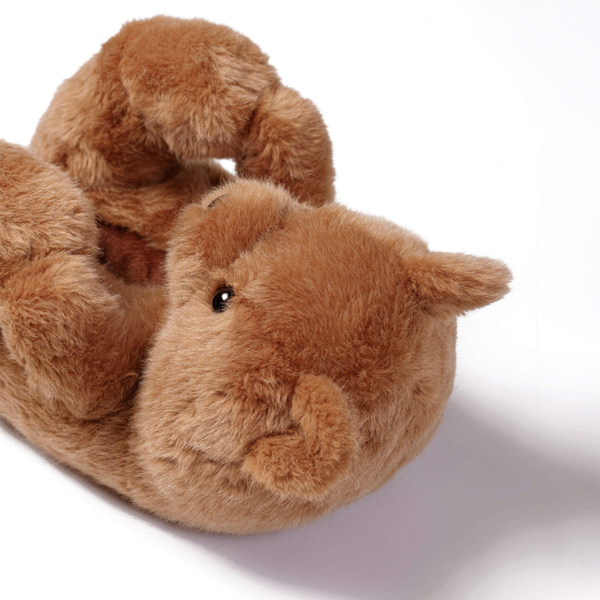 brown plush toy teddy bear slippers shoes on a white background
