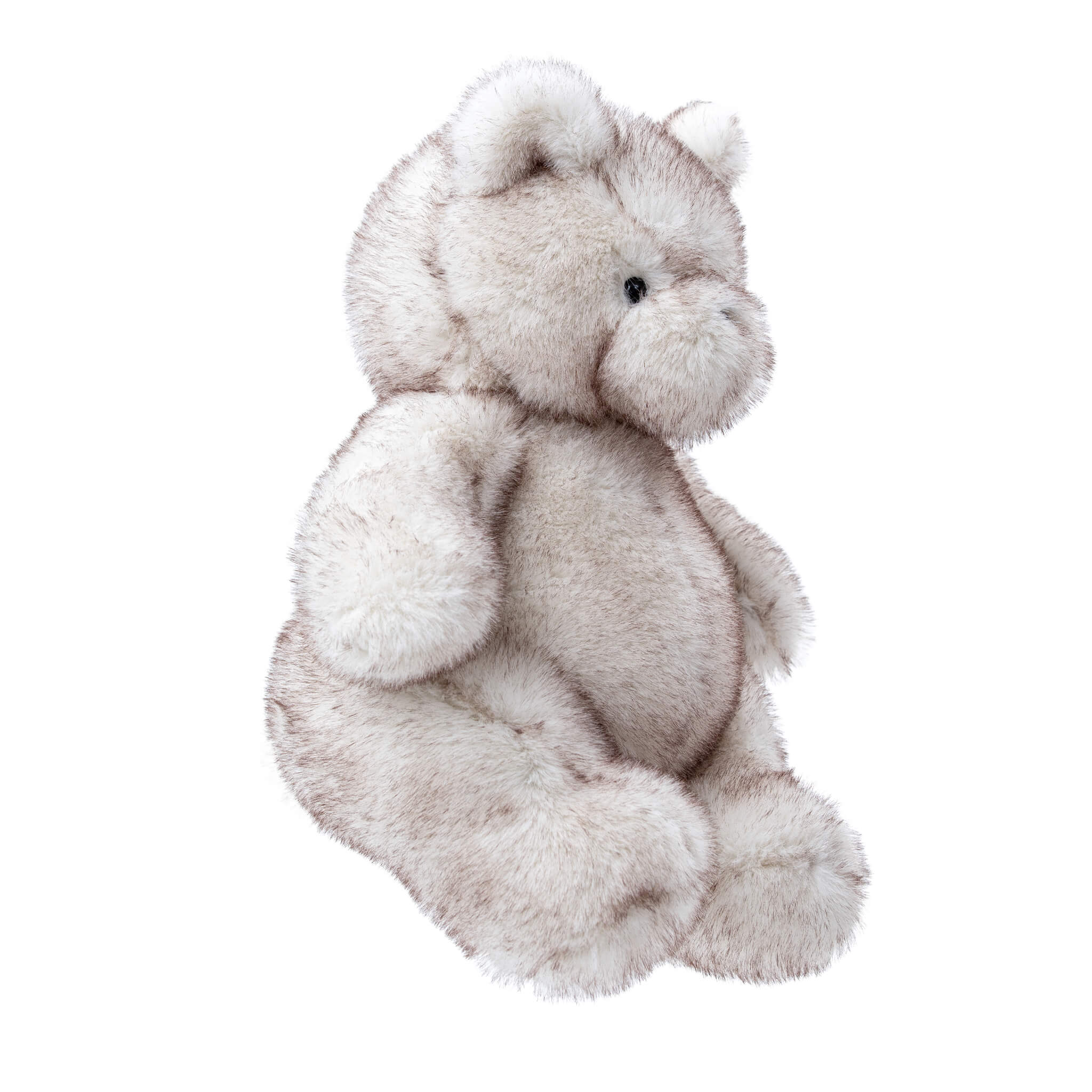 Plush teddy bear on a white background