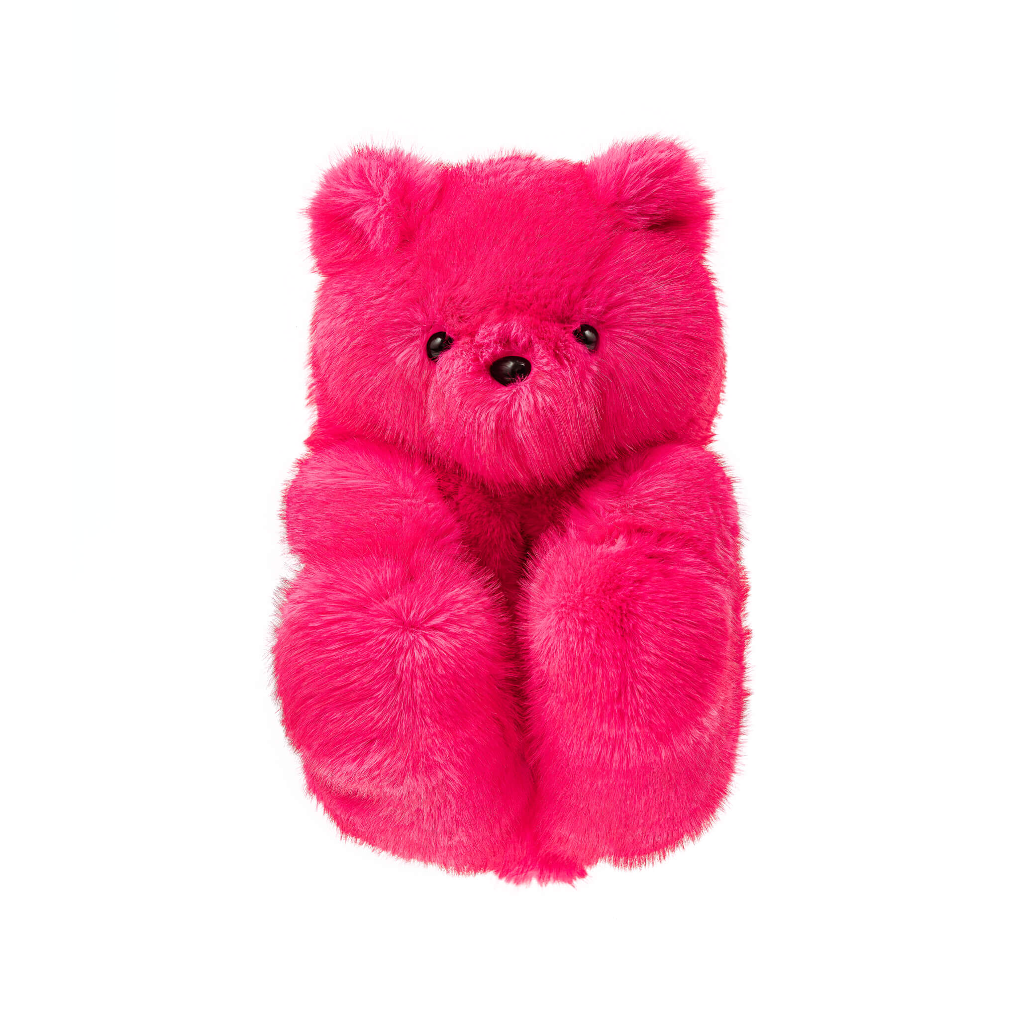 Hot pink teddy bear on a white background